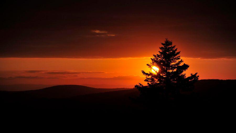sonne